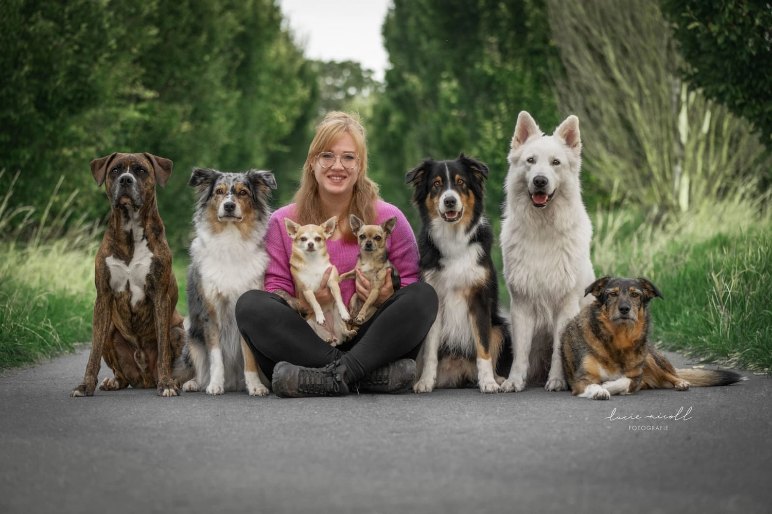 Hunde - Selinas Rudelharmonie